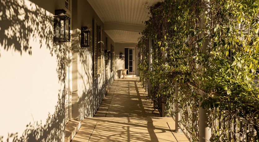 Photo of Vineyard's Embrace