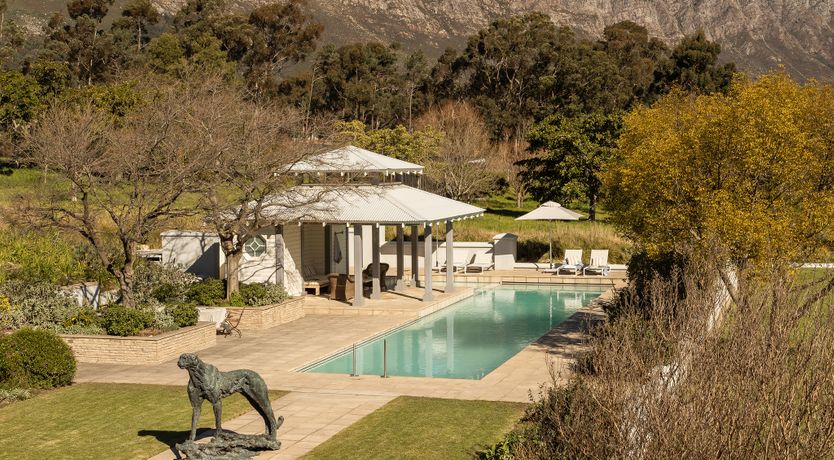 Photo of Vineyard's Embrace