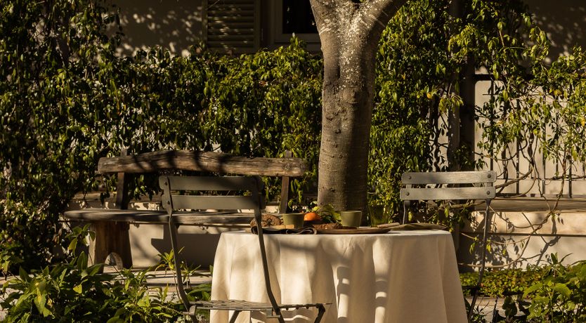 Photo of Vineyard's Embrace