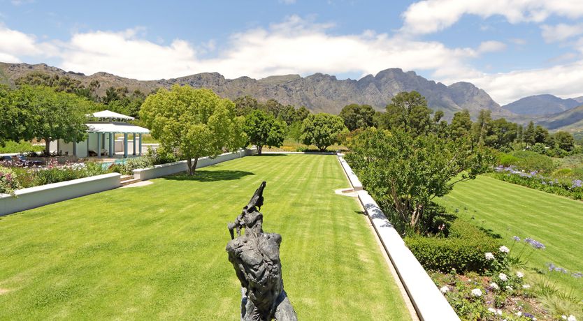 Photo of Vineyard's Embrace