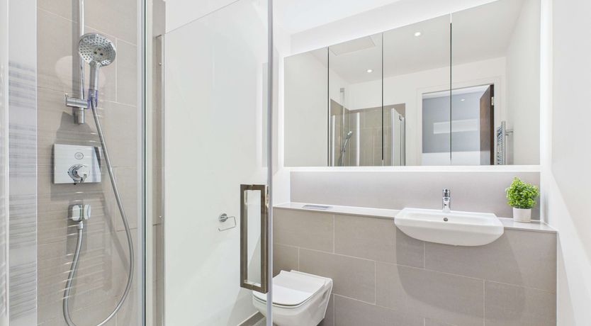 Photo of The Lively Zone