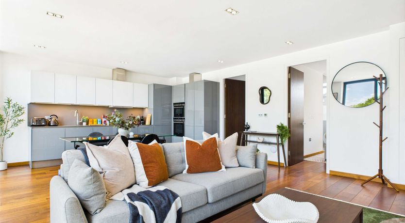 Photo of The Lively Zone