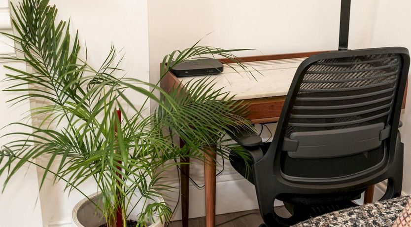 Photo of Royal Grandeur