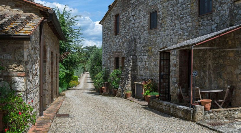 Photo of Vineyard Treasure