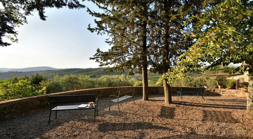 Photo of Vineyard Treasure