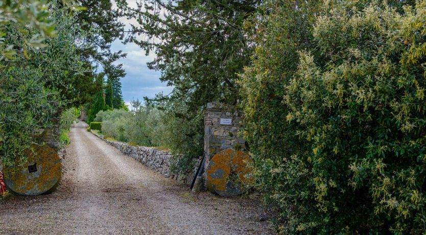 Photo of Vineyard Treasure