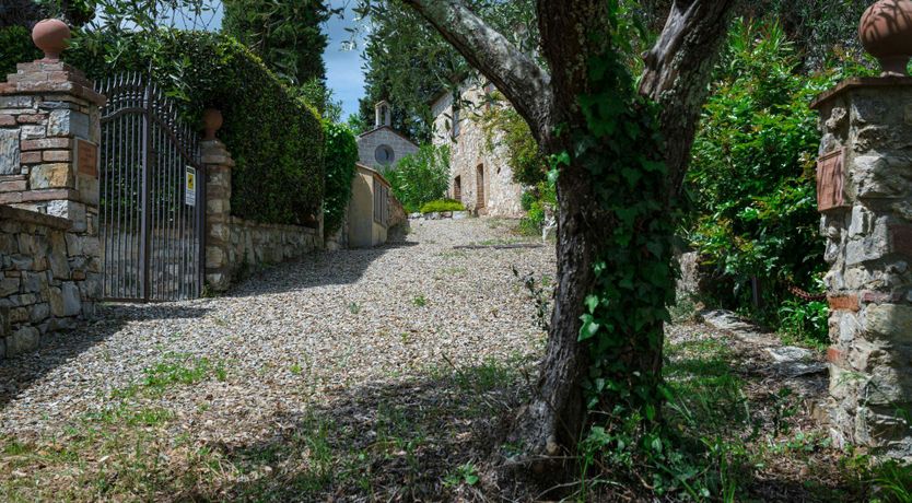 Photo of Vineyard Treasure