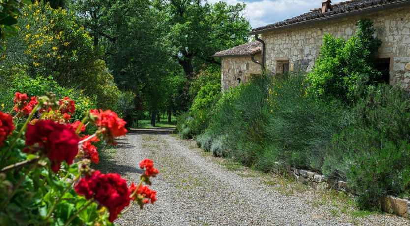 Photo of Vineyard Treasure