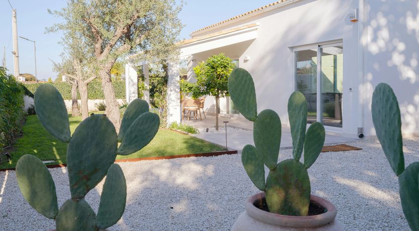 Photo of Siracusa White