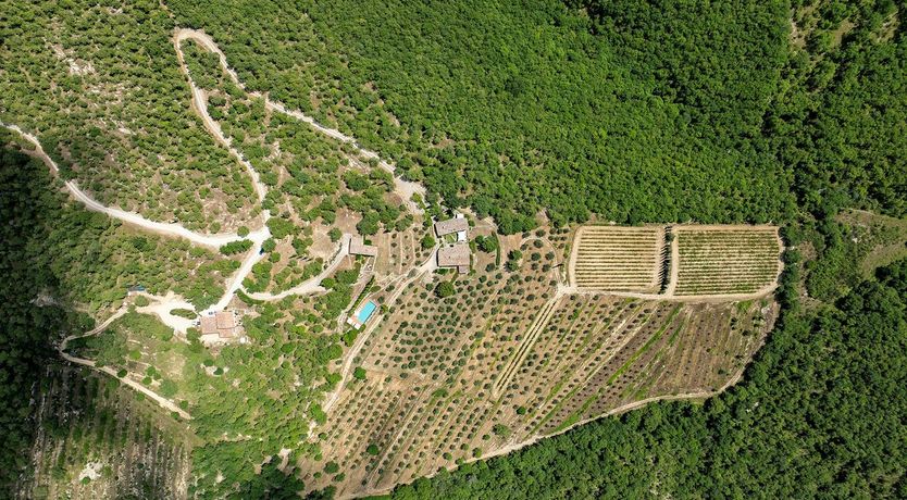 Photo of A Rural Oasis