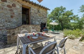 Photo of vineyard-valley-view