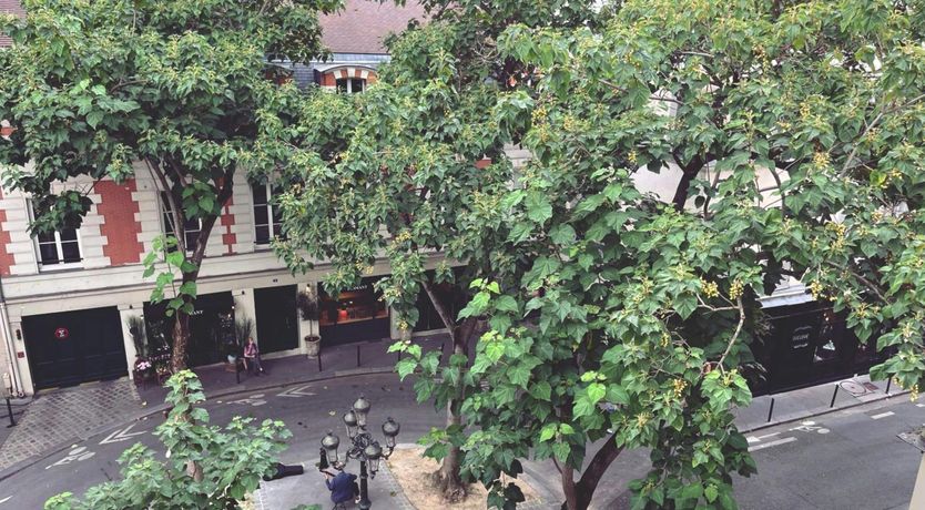 Photo of Noble Heart