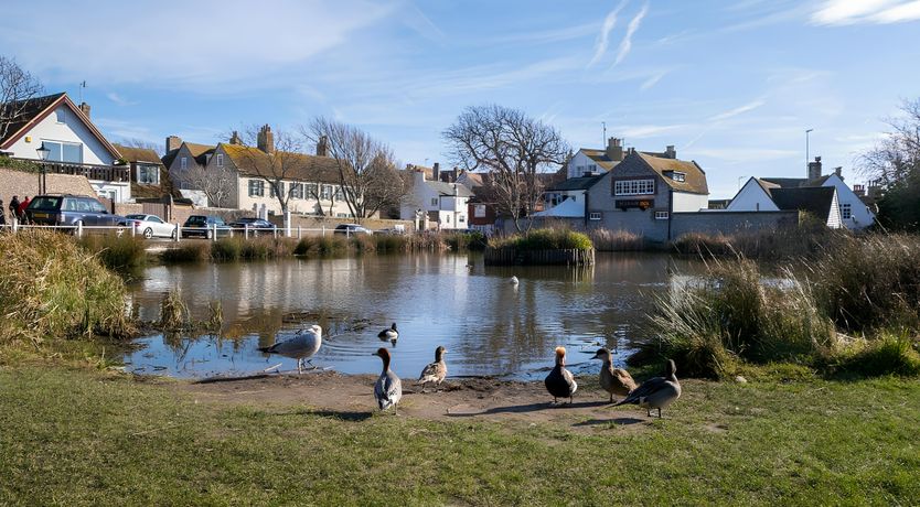 Photo of Sea & Still