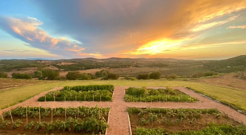 Photo of Sea Beyond the Hills