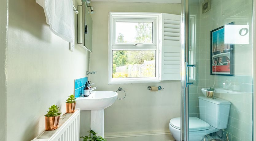 Photo of The Bold Bibliophile