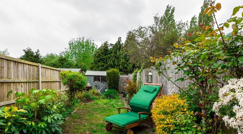 Photo of The Bold Bibliophile