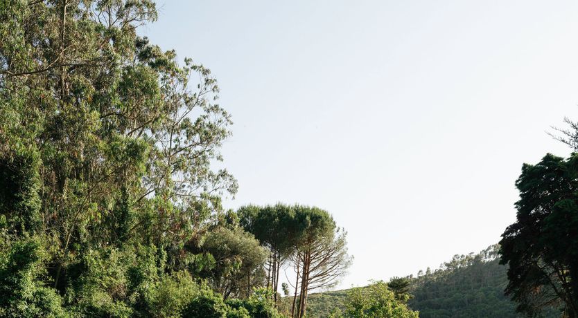 Photo of Song of Stillness