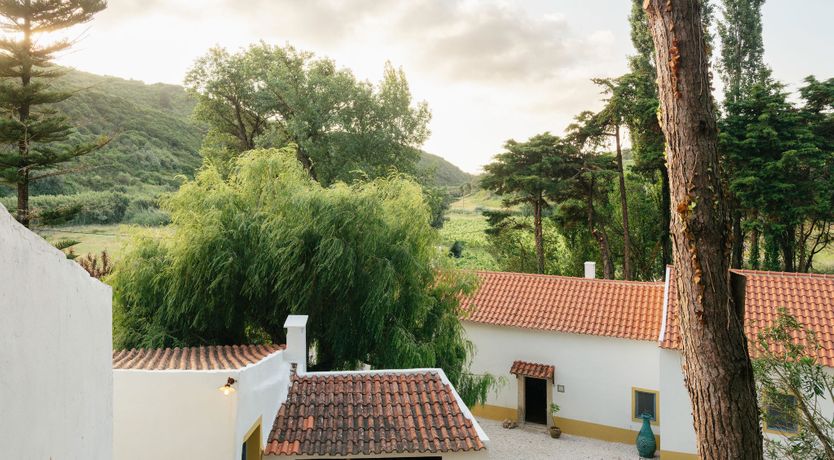 Photo of Song of Stillness