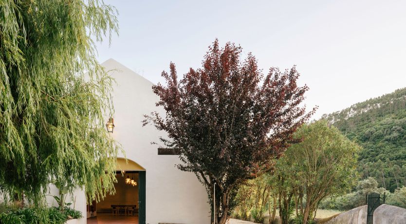 Photo of Song of Stillness