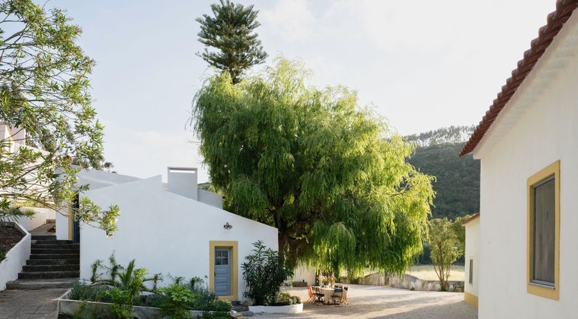 Photo of Song of Stillness