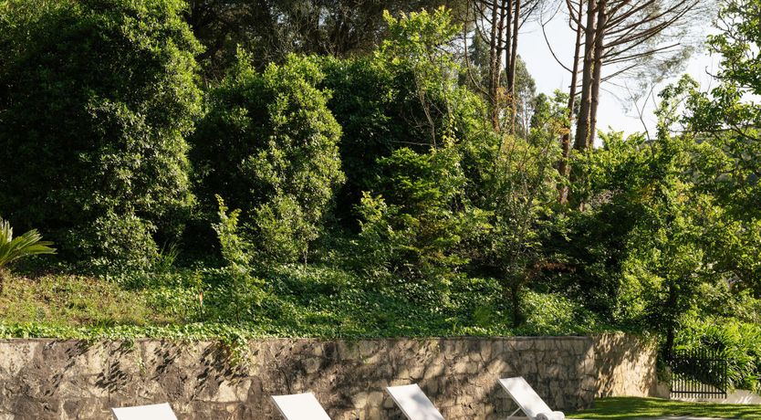 Photo of Song of Stillness