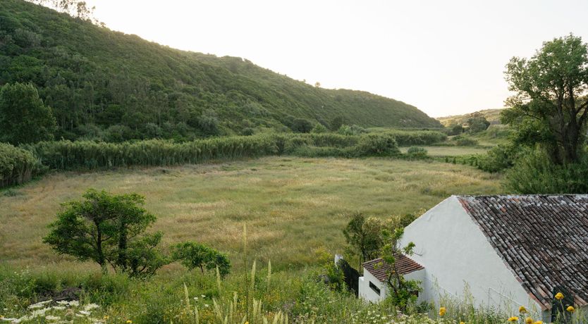 Photo of Song of Stillness