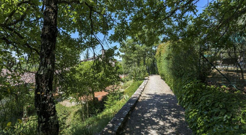 Photo of Crimson Dreams