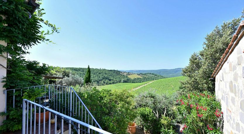 Photo of Crimson Dreams