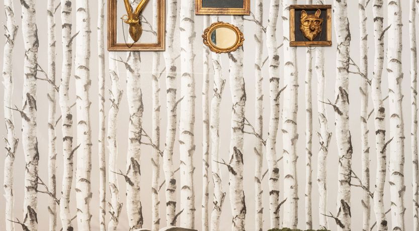 Photo of Mountain Panorama