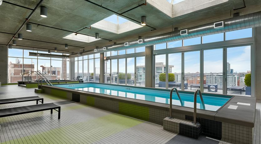 Photo of WindyCity Wonders