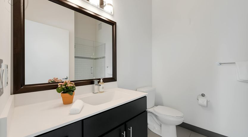 Photo of WindyCity Wonders