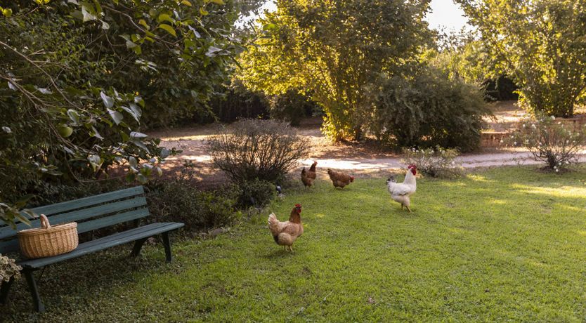 Photo of Antique Valley