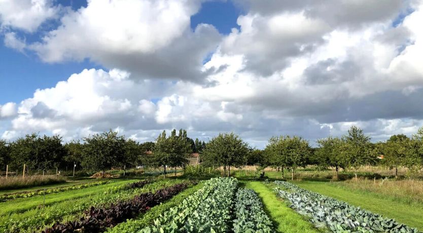 Photo of Harvest Retreat