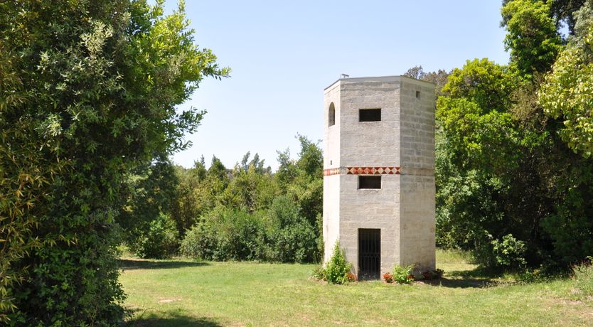 Photo of The Light Castle