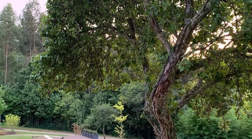 Photo of Forest Home