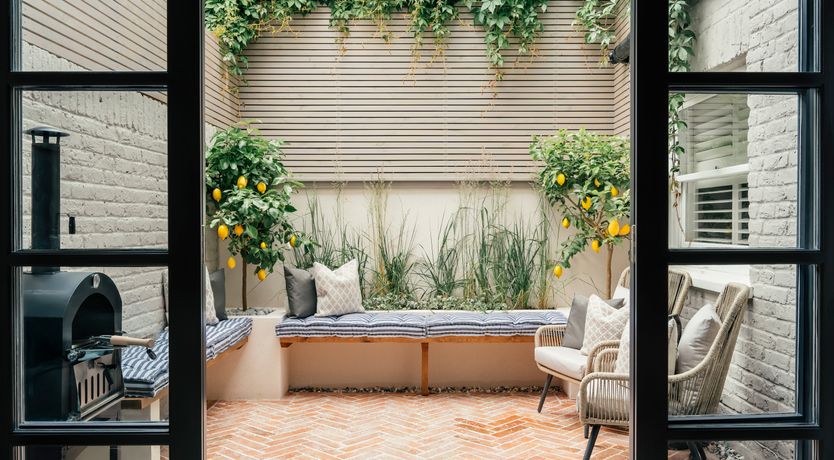 Photo of The Golden Vine