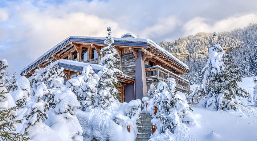 Photo of Alpine Chateau