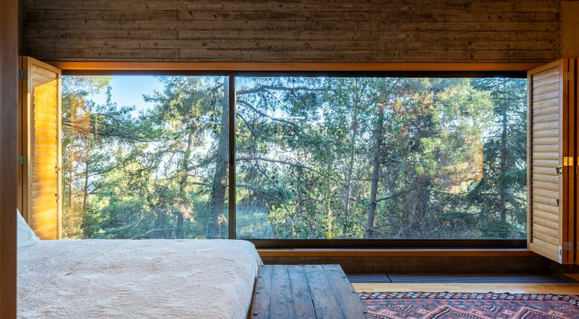 Photo of Pine & Gold