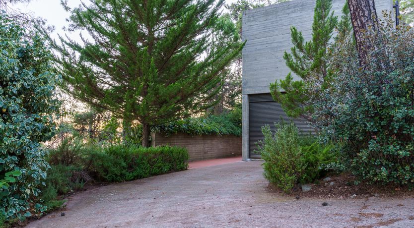 Photo of Pine & Gold