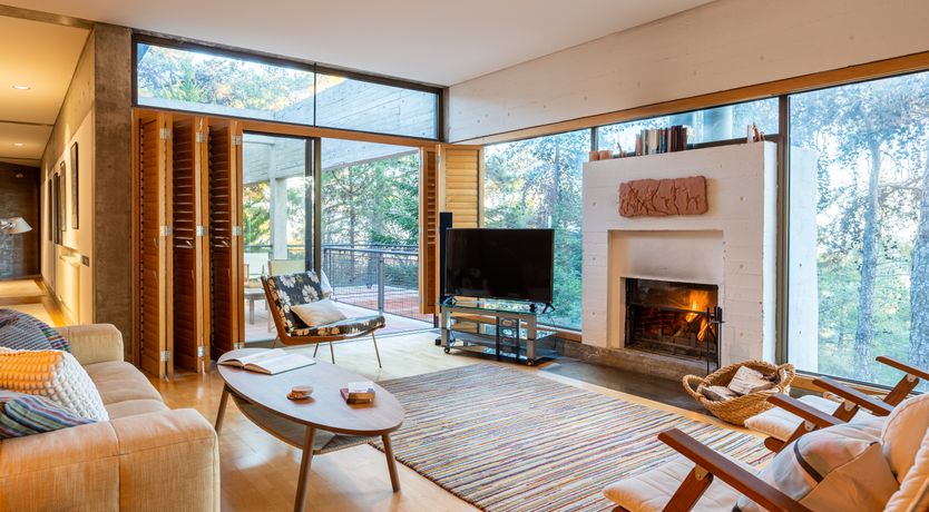 Photo of Pine & Gold