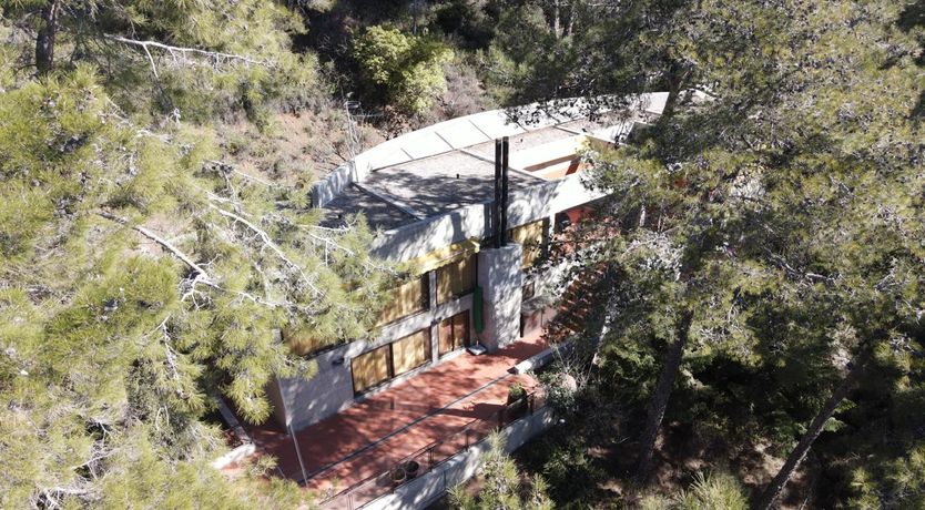 Photo of Pine & Gold