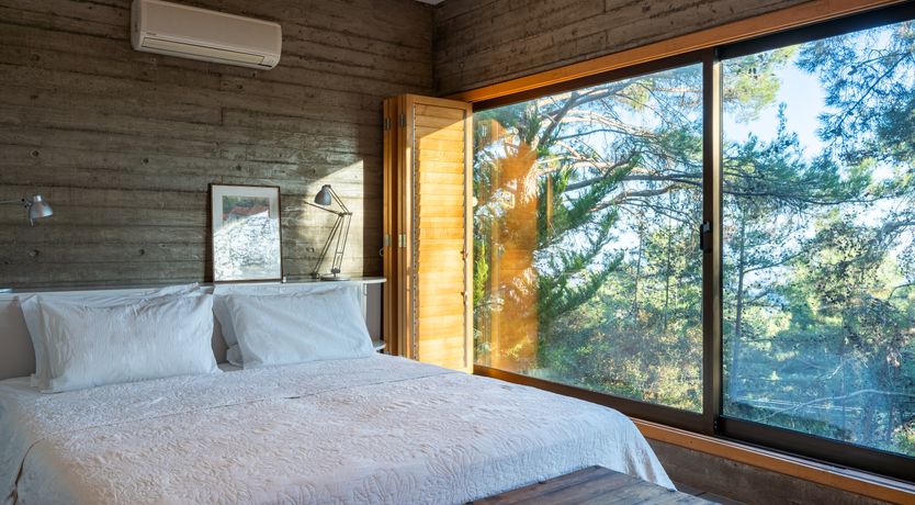 Photo of Pine & Gold