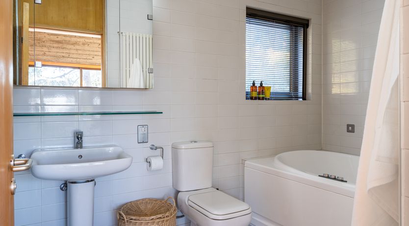 Photo of Pine & Gold