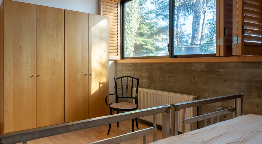 Photo of Pine & Gold