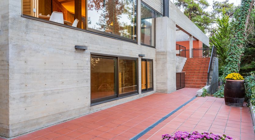 Photo of Pine & Gold