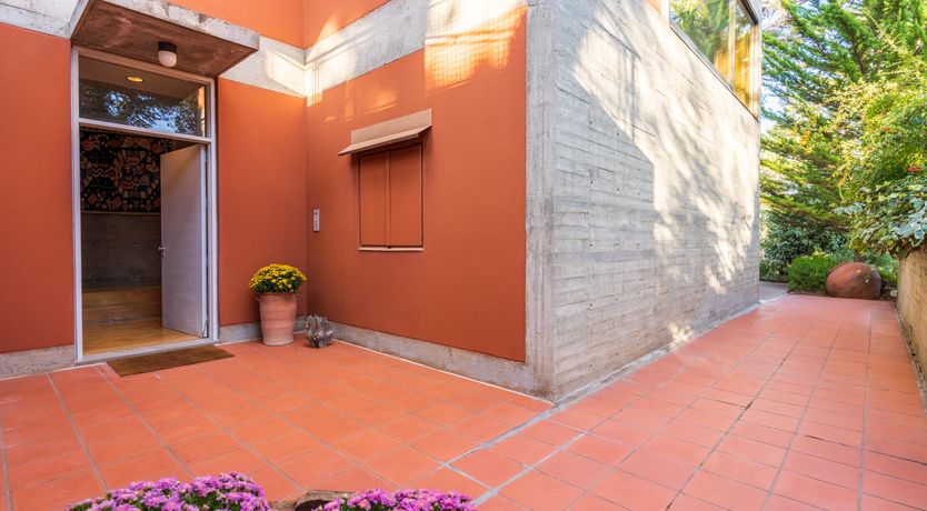 Photo of Pine & Gold