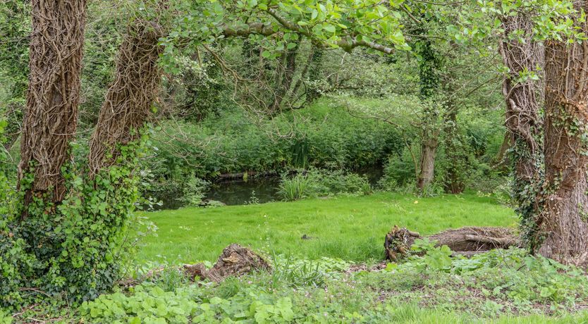 Photo of The Quiet Field