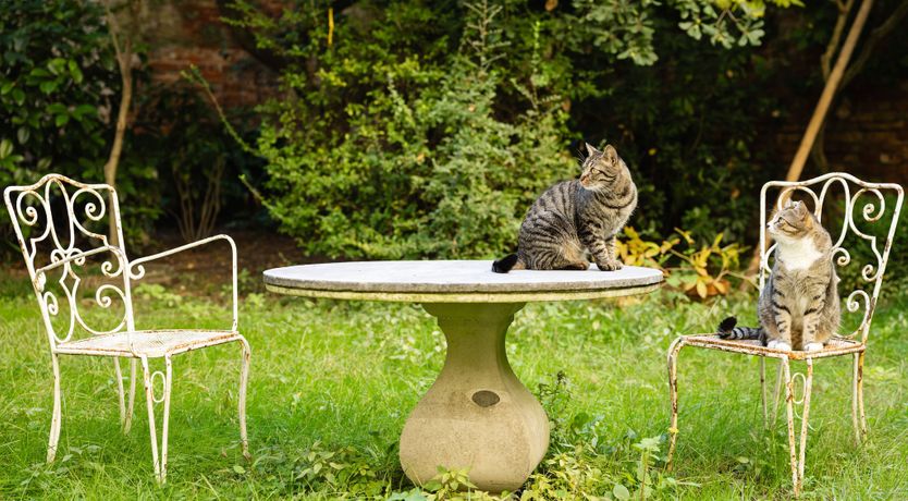 Photo of Stone & Crimson