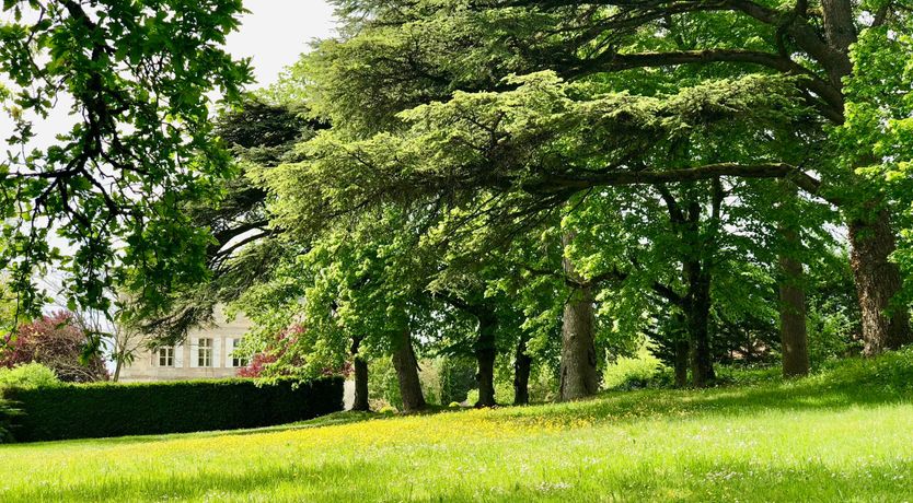 Photo of The Grand Chateau