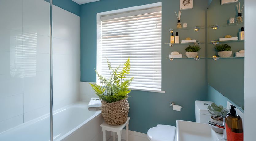 Photo of Brighton Breeze